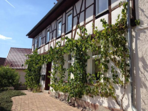 Ferienhaus Borntal in Breitungen/Werra, Schmalkalden-Meiningen in Breitungen/Werra, Schmalkalden-Meiningen